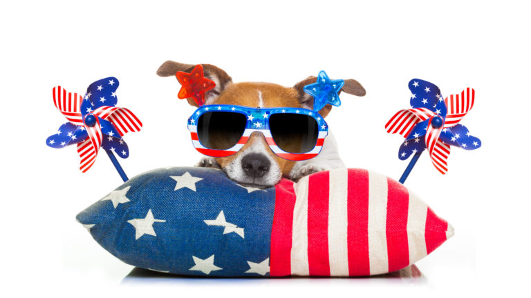 email marketing software for july 4 by cloudhq