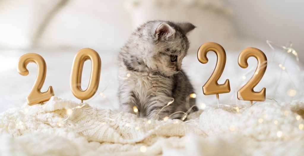free email templates for new year cards 2022