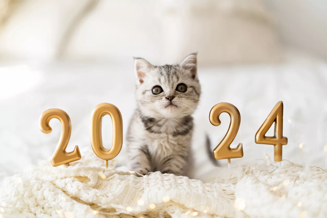 Free Email Templates For New Years 2024 Jpeg.webp