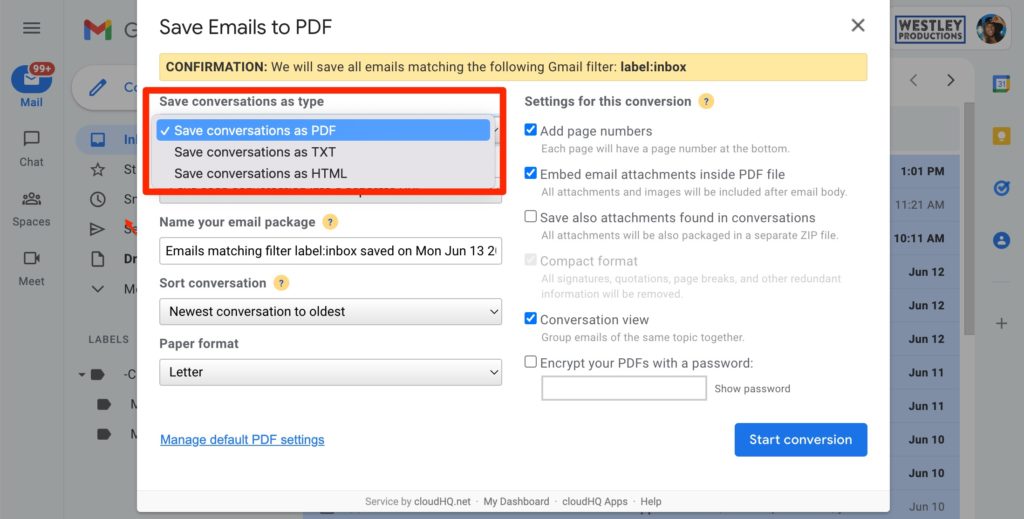 save conversations as PDF