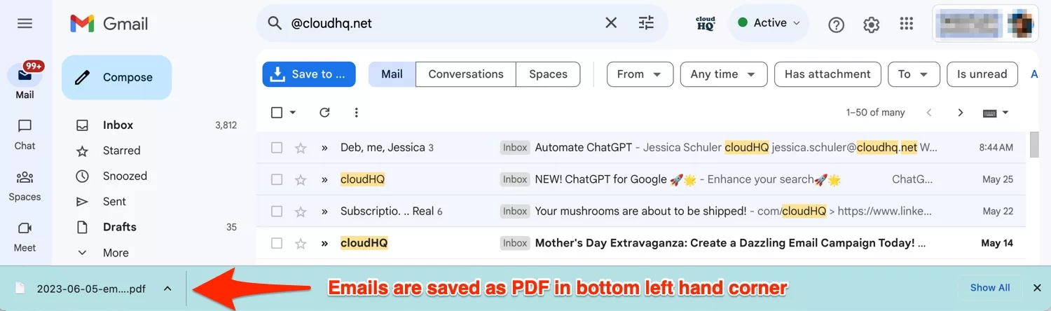 successful emails saved to pdf