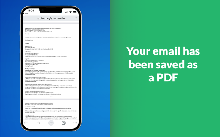 You will be able to see your email saved as a PDF on your mobile device easily, whether online or offline.