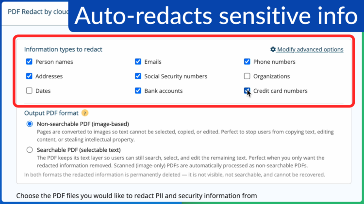 The Information types to redact checklist in PDF Redact