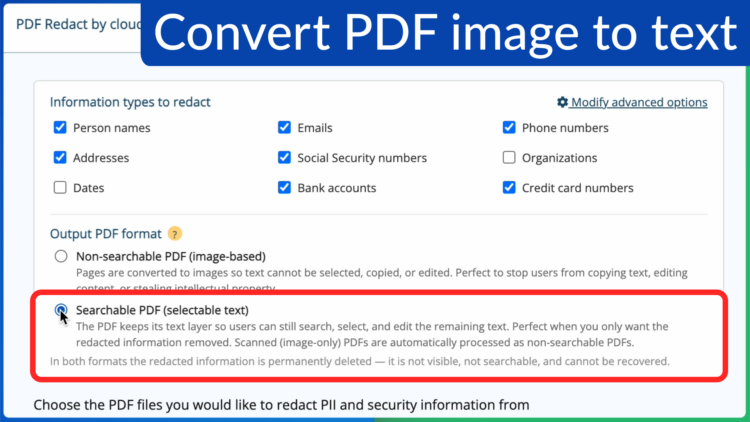 The Output PDF format setting with Searchable PDF selected